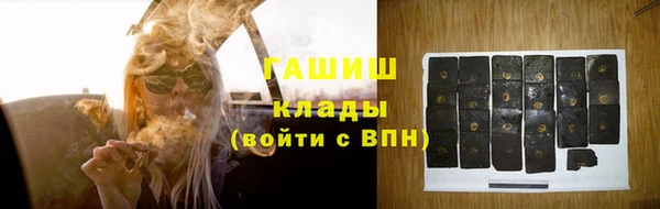 прущие грибы Арсеньев