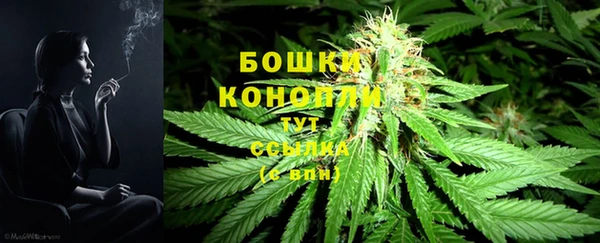 прущие грибы Арсеньев