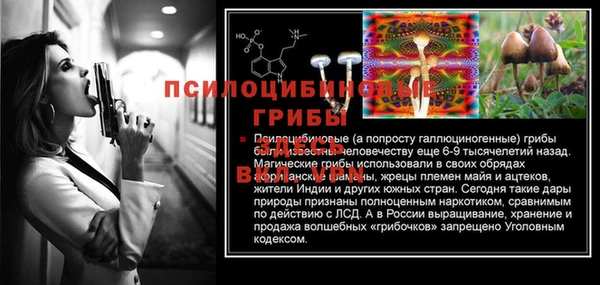прущие грибы Арсеньев