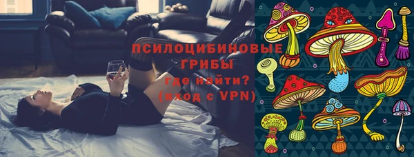 тгк Аркадак