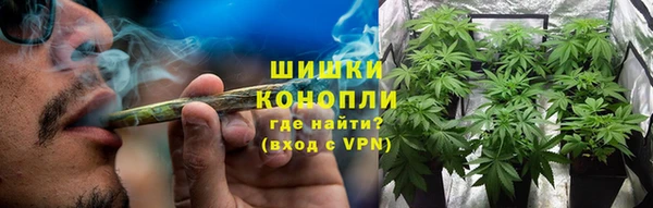 прущие грибы Арсеньев